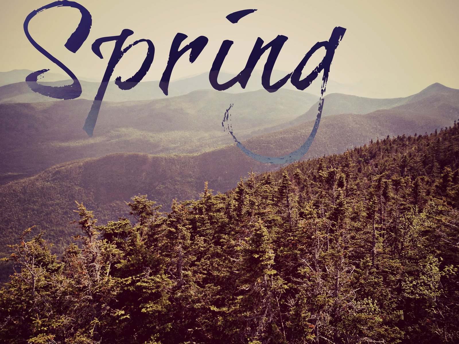 spring