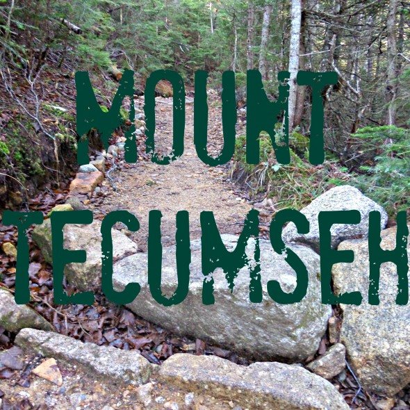 tecumseh