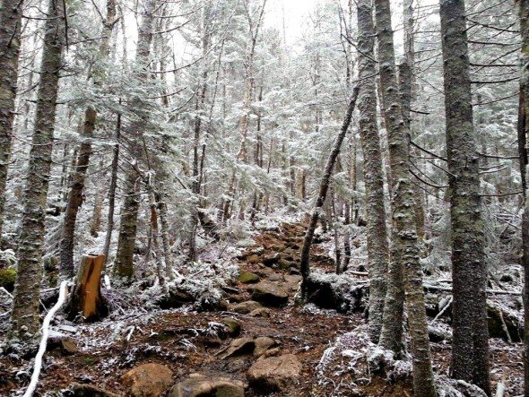 winter-2Bwonderland