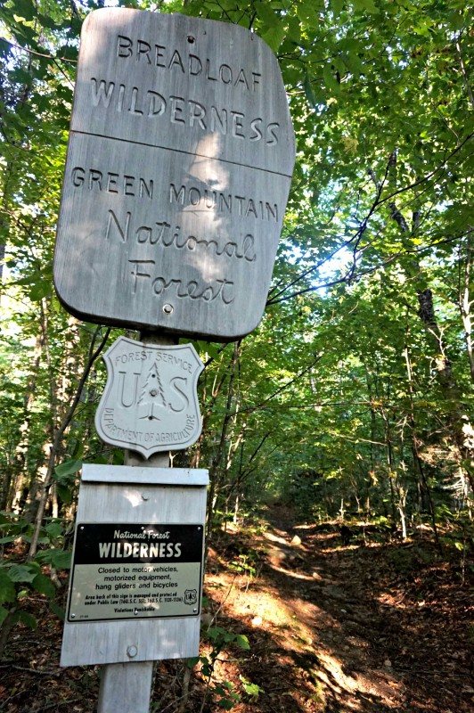 2-wilderness