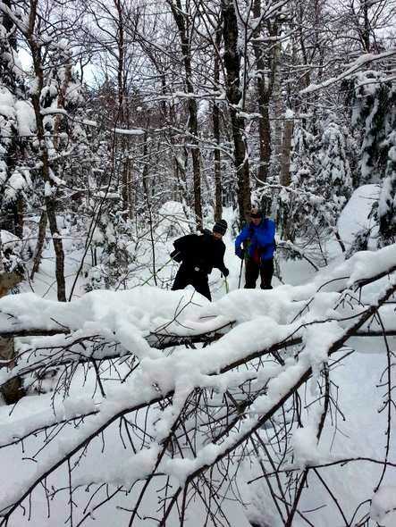 wildcat ridge trail