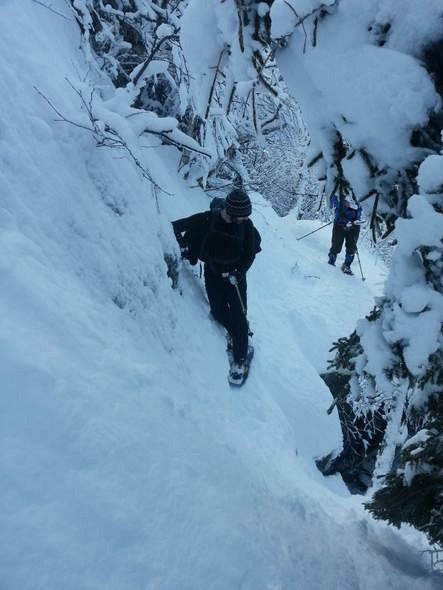 wildcat ridge trail