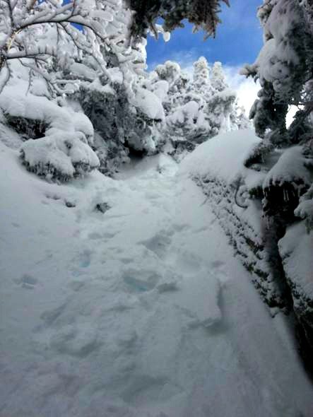 wildcat ridge trail