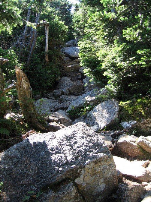garfield ridge trail