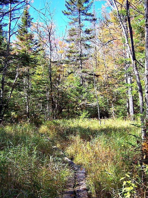 Franconia Brook