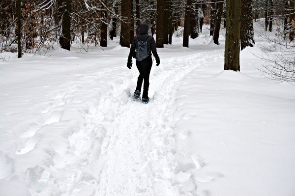 Snowshoeing in Newburyport's Maudslay State Park