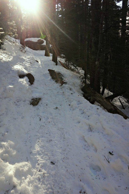 14-falling waters trail