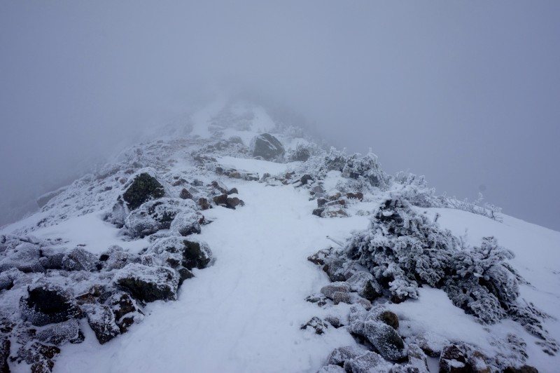 29-franconia ridge trail