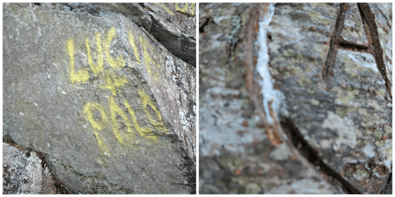 graffiti and deep carvings on the trail... really disappointing to see.