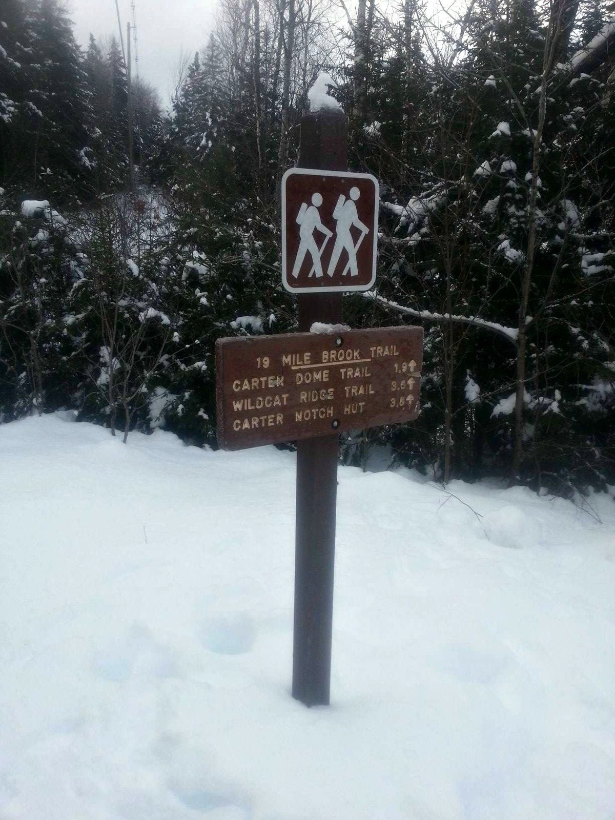 nineteen mile brook trailhead