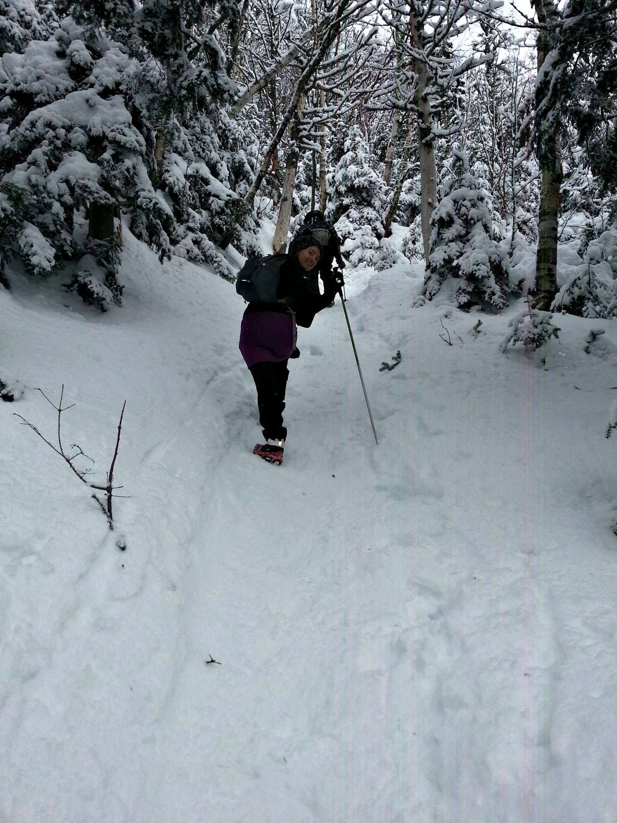nineteen-mile brook trail