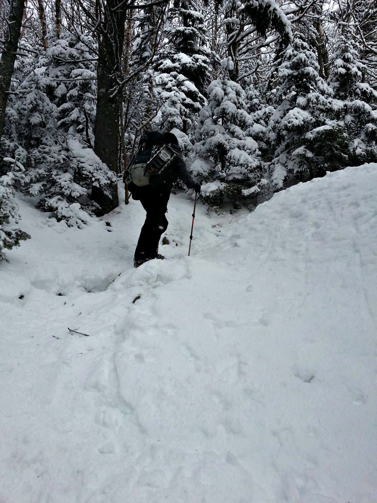 nineteen-mile brook trail