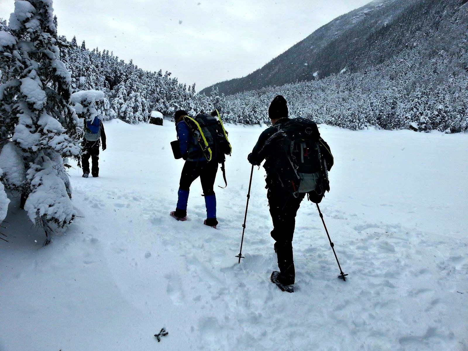 nineteen-mile brook trail